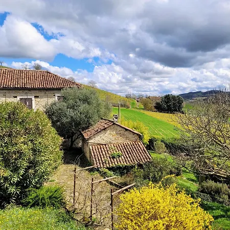 Apartment Dolcetto In Cascina Marenco Langhe Cessole