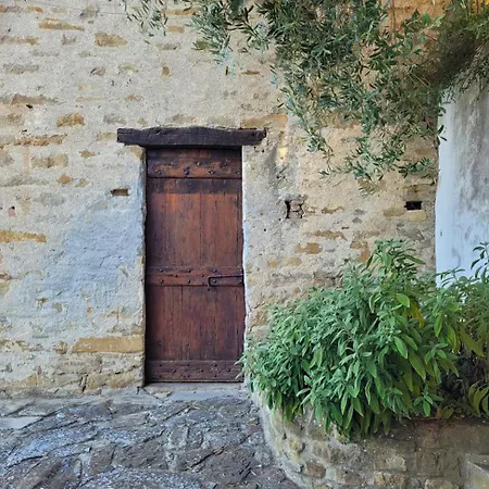 Dolcetto In Cascina Marenco Langhe *
