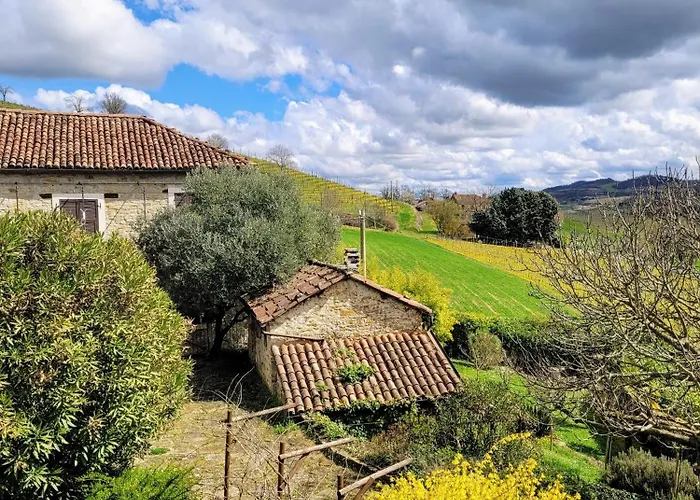 Apartamento Dolcetto In Cascina Marenco Langhe Cessole