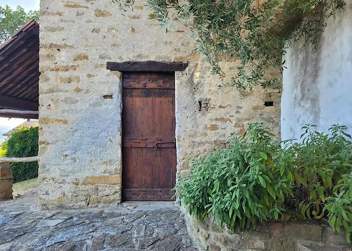 Dolcetto In Cascina Marenco Langhe *